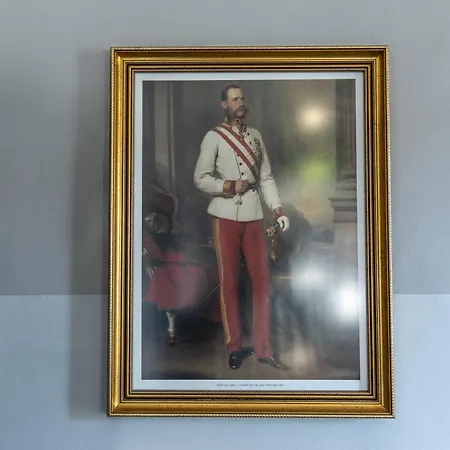Kaiser Von Oesterreich, Historik- Und Thermalhotel 4* 바트래드커스스부르크
