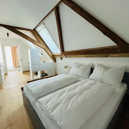 Kaiser Von Oesterreich, Historik- Und Thermalhotel 4* Bad Radkersburg